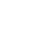 TNT delivery services