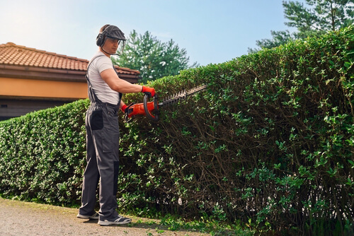 Send Garden Tools By Courier